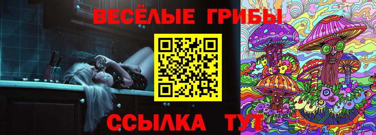 Псилоцибиновые грибы Cubensis Туапсе
